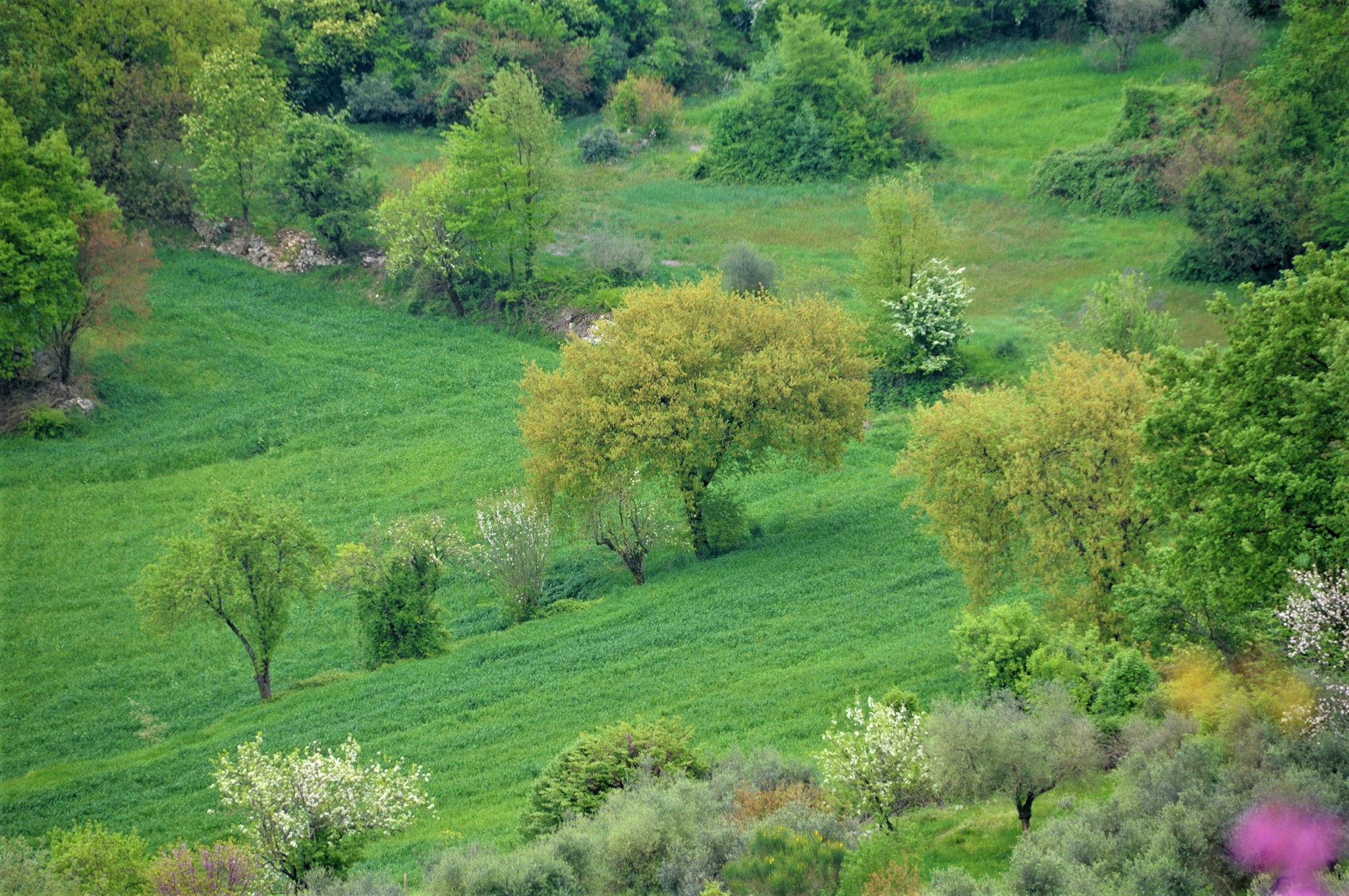 Foto di Fabio Marzi