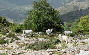 Itinerari Da un borgo all’altro tra natura e cultura millenaria sulle tracce dei viaggiatori del Grand Tour