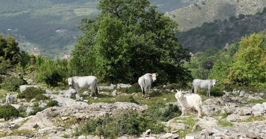 Itinerari Da un borgo all’altro tra natura e cultura millenaria sulle tracce dei viaggiatori del Grand Tour