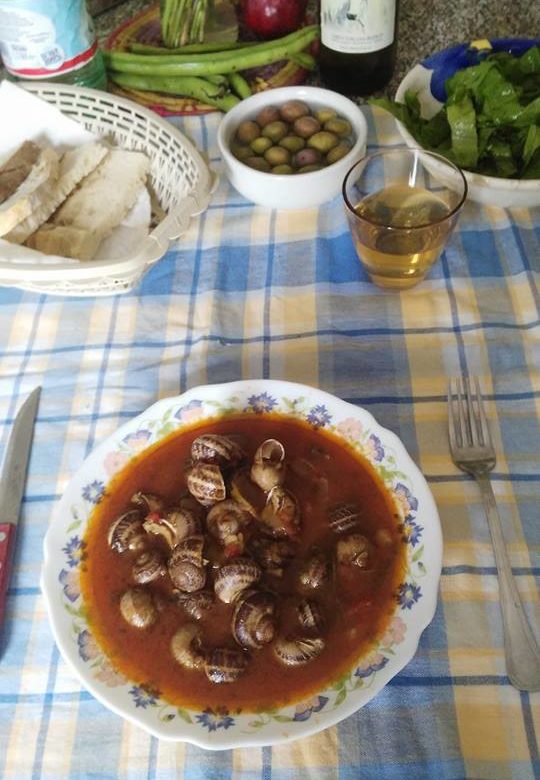 Lumache al sugo (ciammòtte)