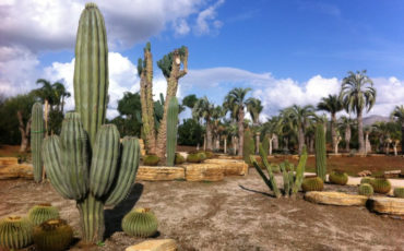 Parco dei continenti – Il mondo botanico di tutto il mondo nella Valle dell’Amaseno