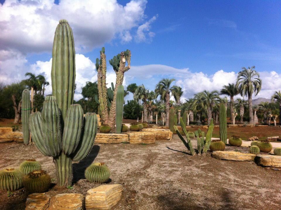 Parco dei continenti - Il mondo botanico di tutto il mondo nella Valle dell'Amaseno