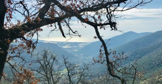 Sul Monte Tavanese con il Gruppo Terre Alte – CAI Frosinone